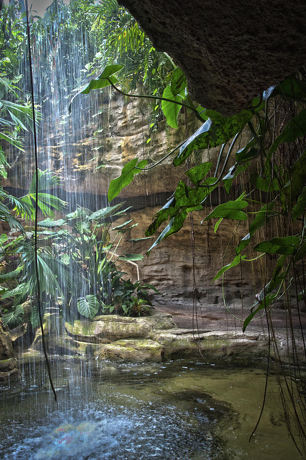 Rainforest Waterfall Photograph by James Woody