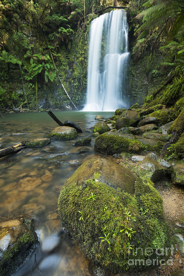 Rainforest waterfalls, Beauchamp Falls, Great Otway NP, Victoria ...