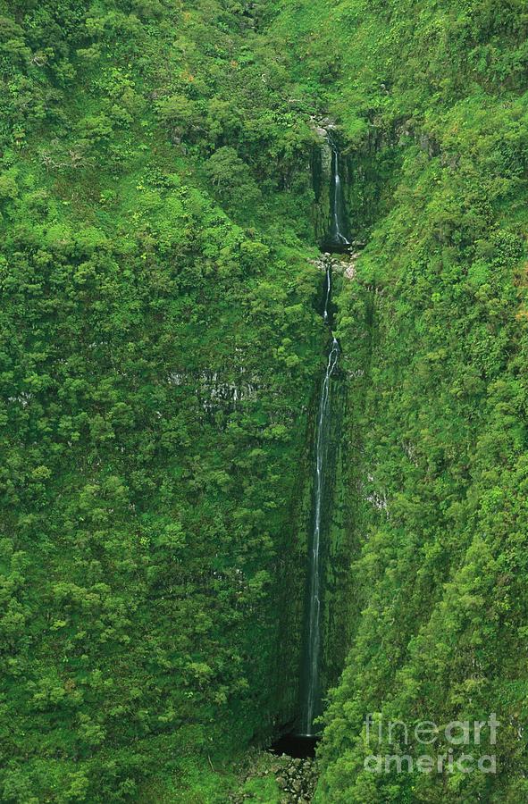 Cool Photograph - Rainforest Waterfalls by Greg Vaughn - Printscapes