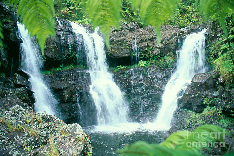 Rainforest Waterfalls Photograph by Peter French - Printscapes