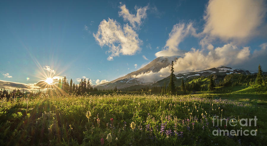 Rainier and Clouds Golden Sunstar Photograph by Mike Reid