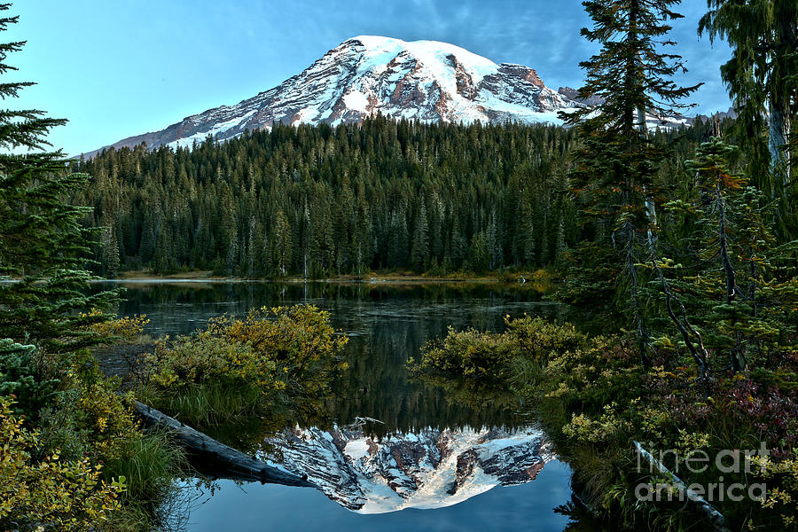 Rainier Reflections Through The Trees Photograph by Adam Jewell