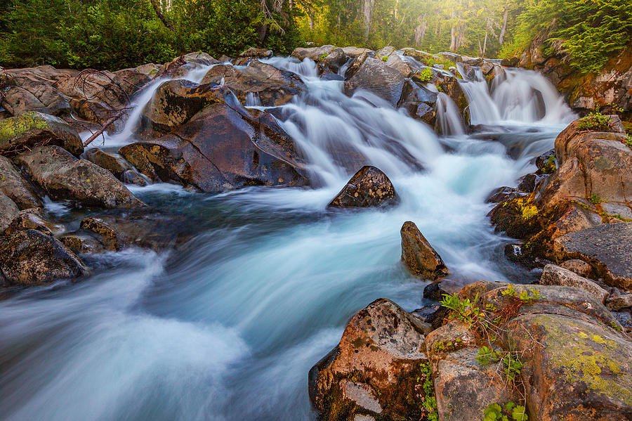 Nature Photograph - Rainier Runoff by Darren White