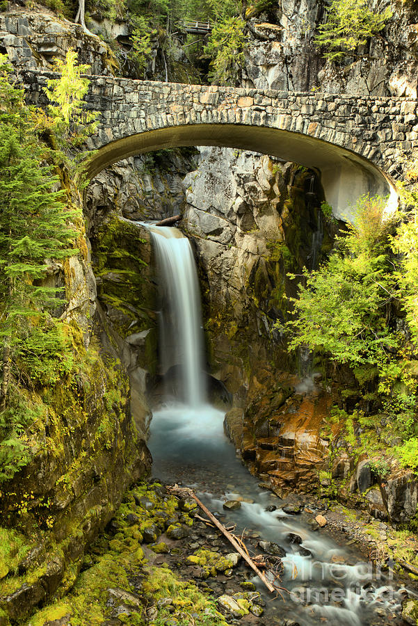 Rainier Scenic Waterfall Photograph by Adam Jewell
