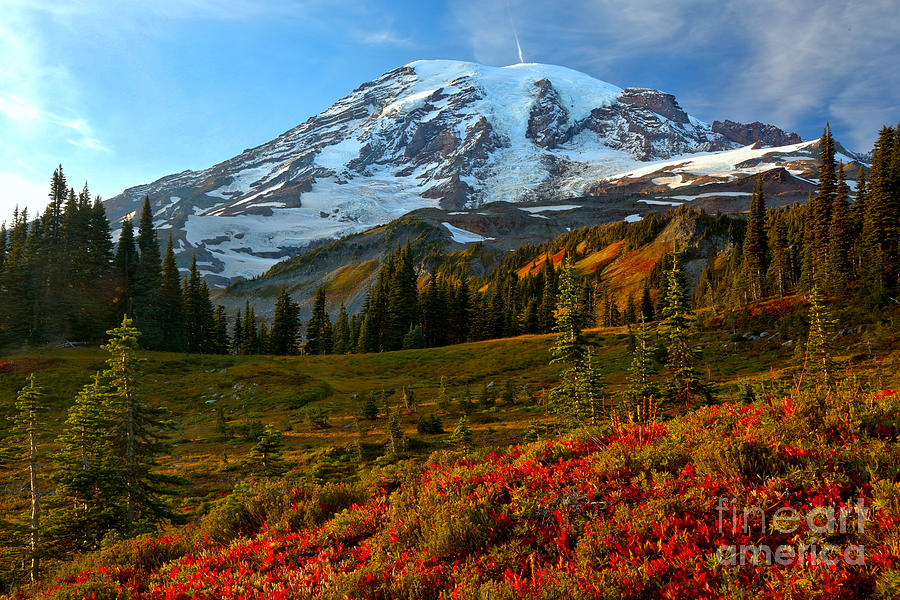 Rainier Sunset Red Photograph by Adam Jewell - Fine Art America