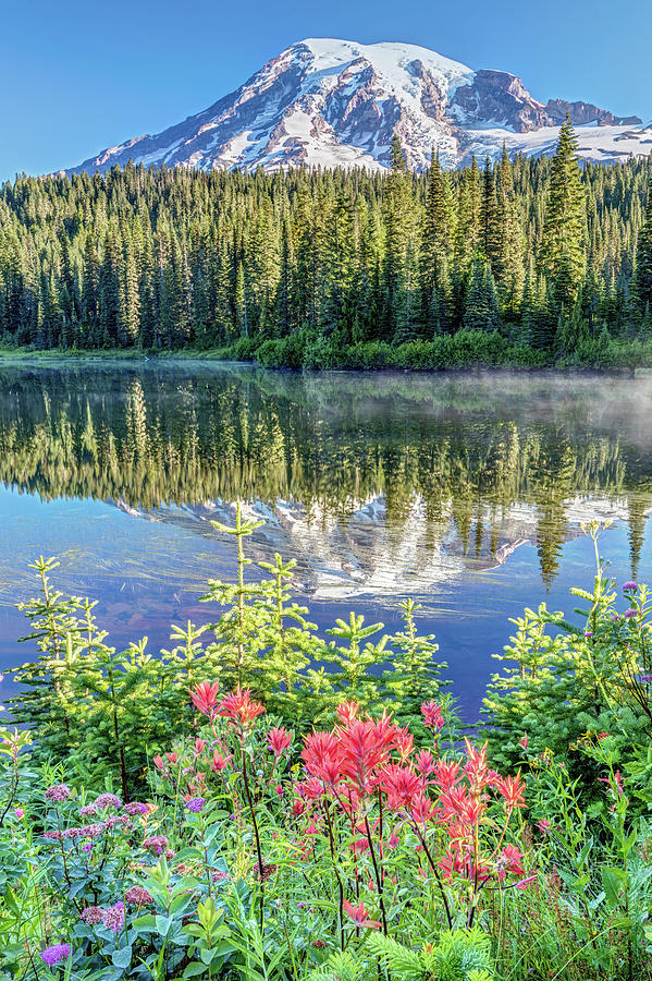 Rainier Wildflowers at Reflection Lake Photograph by Pierre Leclerc Photography