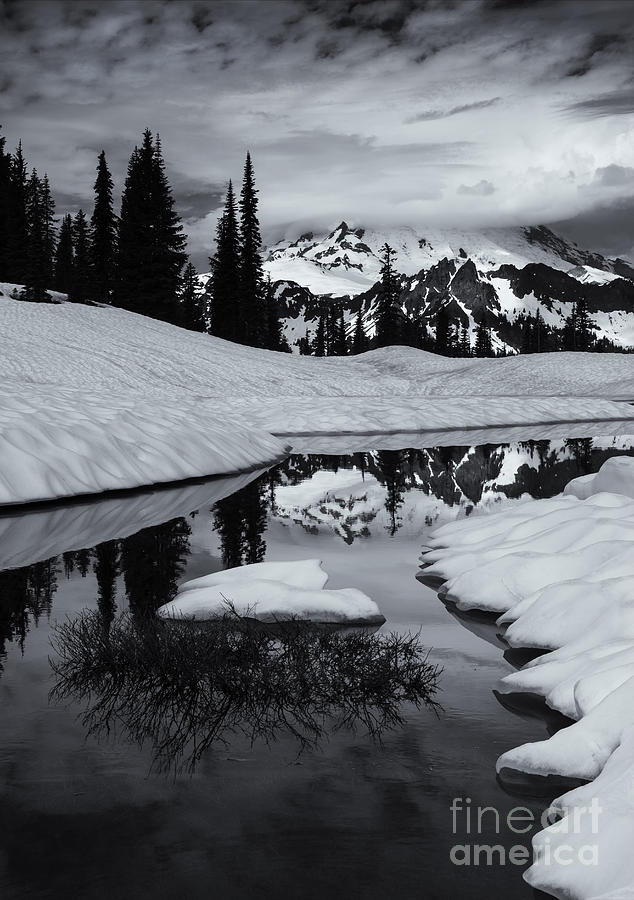 Winter Photograph - Rainier Winter Reflections by Michael Dawson