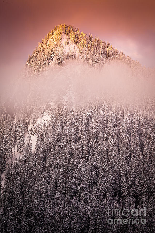 Rainier Winter Scene Photograph by Inge Johnsson