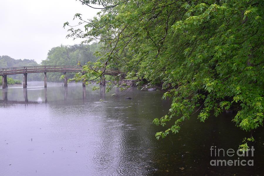 Raining Afternoon Along the Concord River Photograph by Leslie M Browning