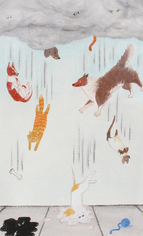 Raining Cats and Dogs Drawing by Michelle Miron-Rebbe