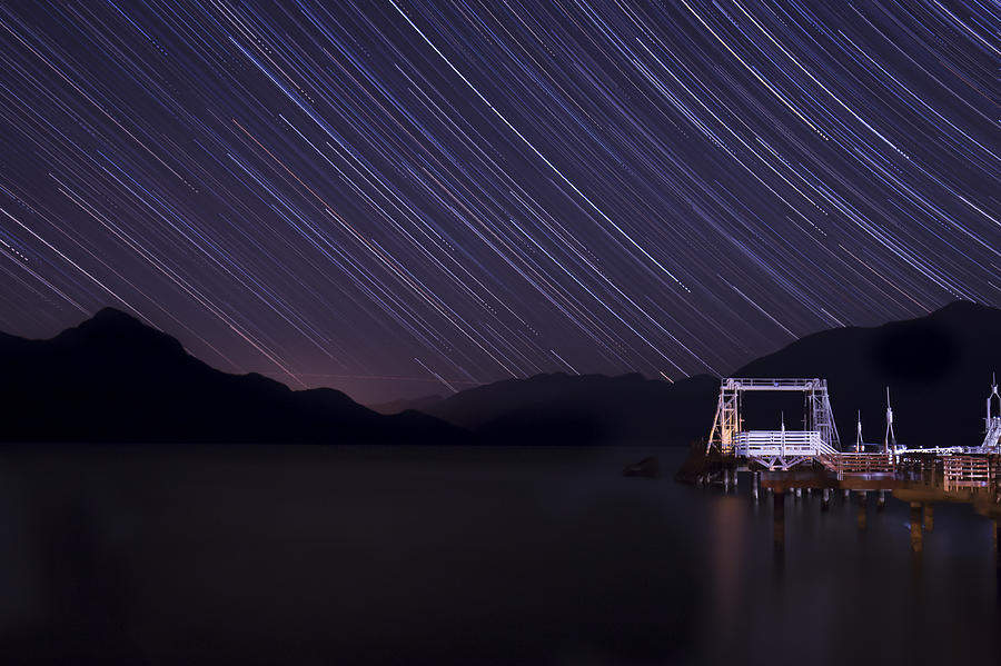 Nature Photograph - Raining Stars by Windy Corduroy