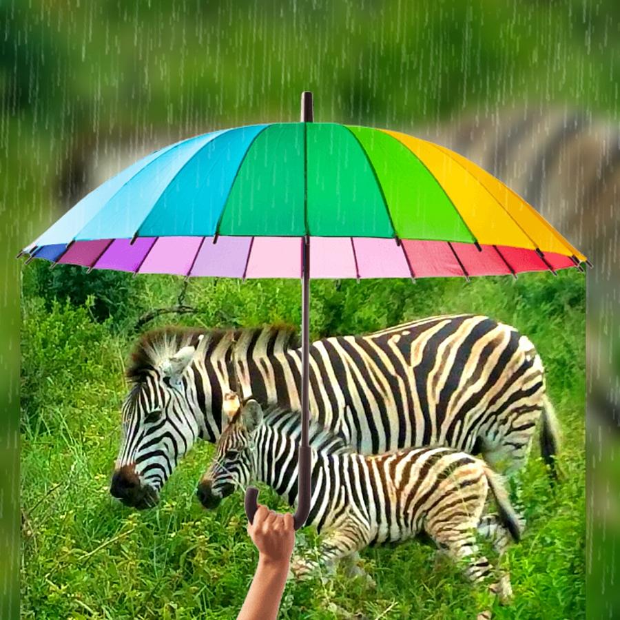 Raining Zebras Digital Art by Vijay Sharon Govender