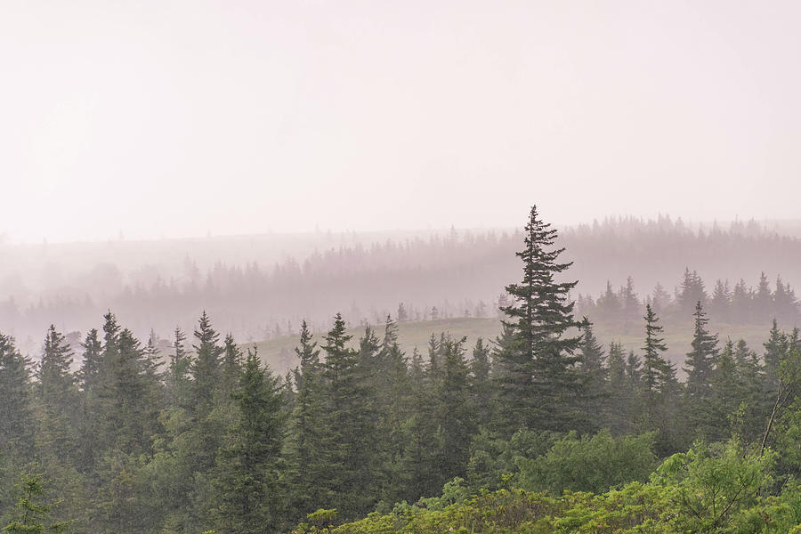 Summer Photograph - Rainstorm Over Dolly Sods by Julie Richie