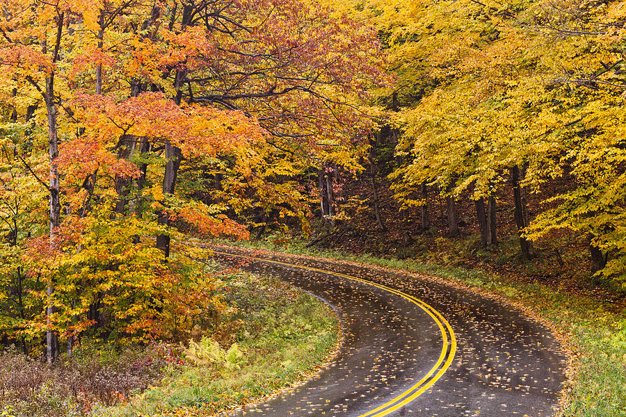Rainy Autumn Drive Photograph by Alan L Graham