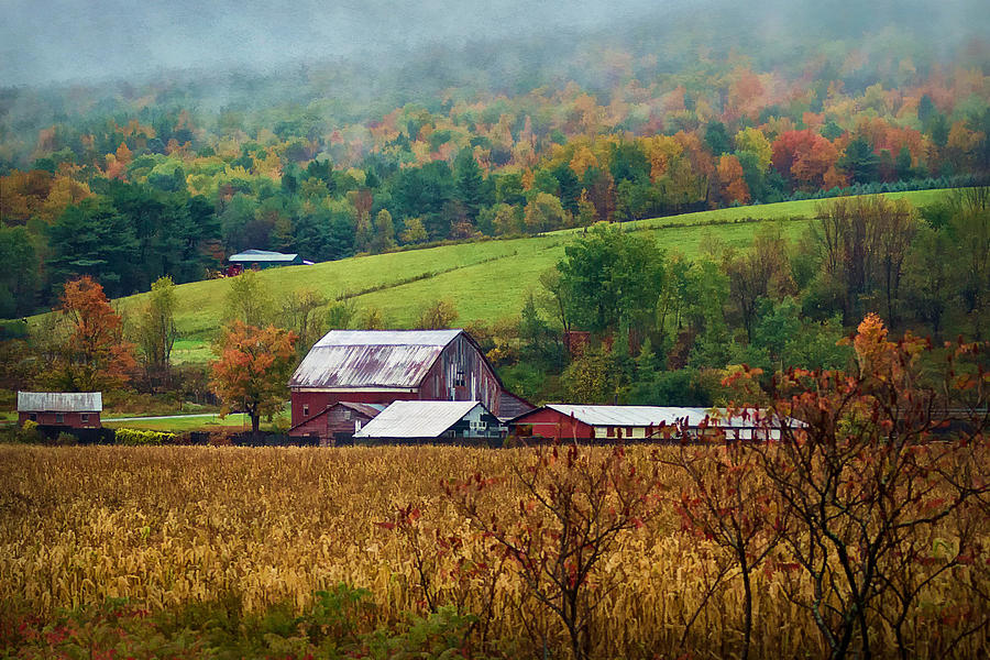 Rainy Day at the Farm Photograph by Priscilla Burgers