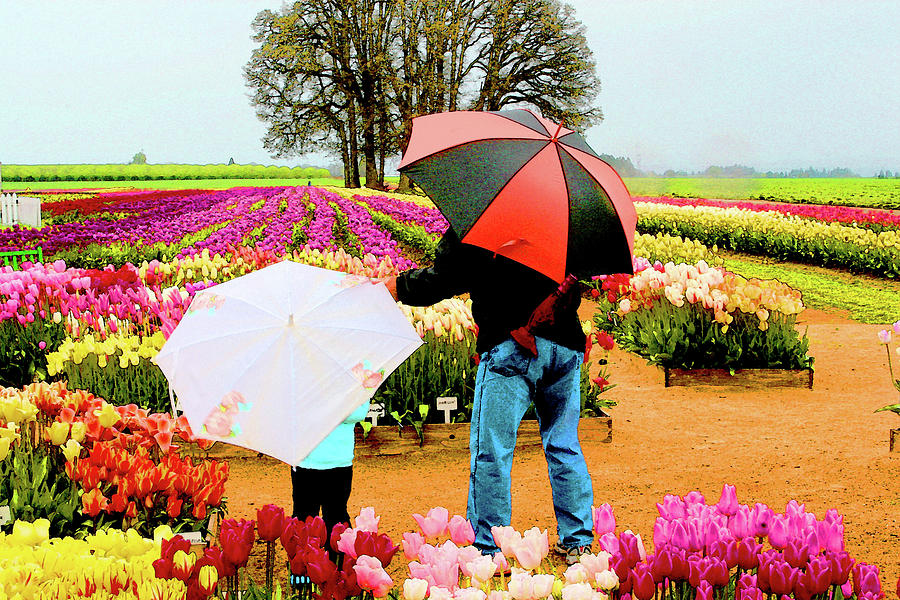 Rainy Day at the Tulip Farm Photograph by Margaret Hood