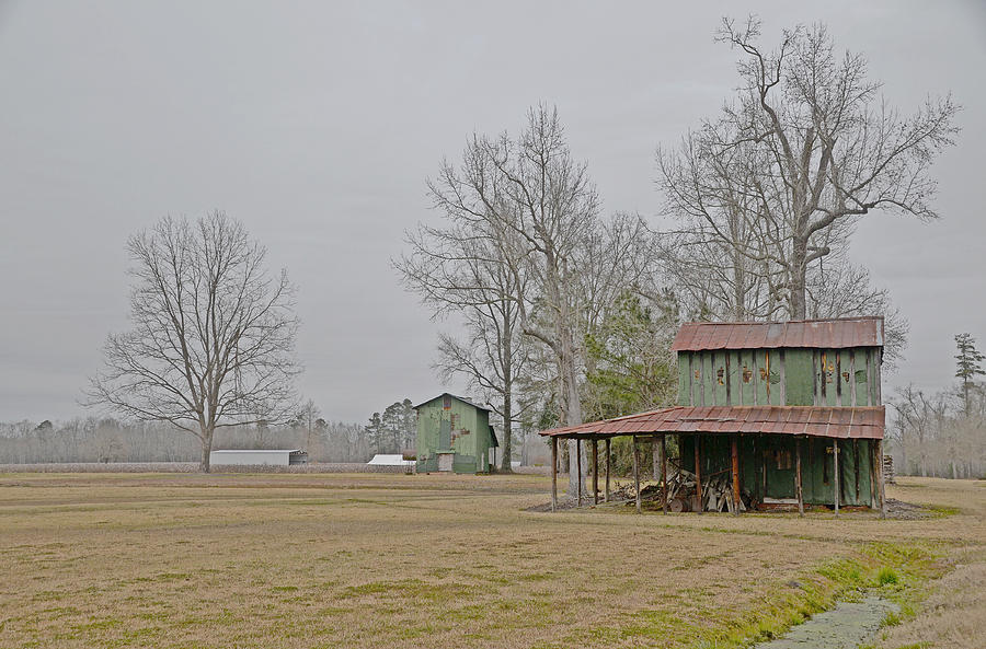 Rainy Day Barns Photograph by Linda Brown