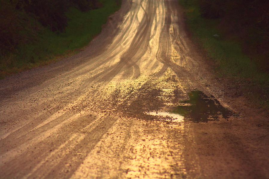 Rainy Day Photograph - Rainy Day Country Road by Goldie Pierce