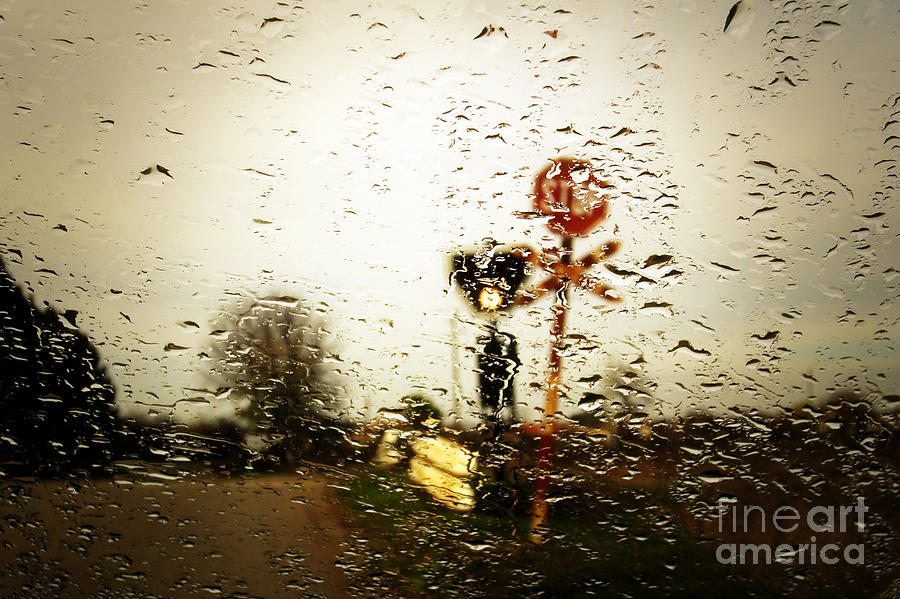 Rainy Day Photograph by Dimitar Hristov