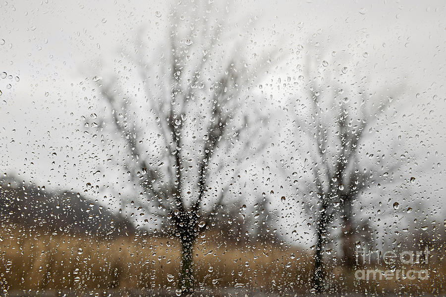 Rainy day 1 Photograph by Elena Elisseeva