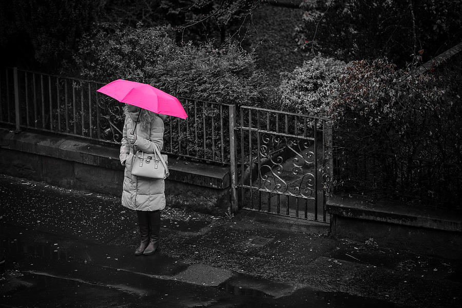 Fall Photograph - Rainy Day in Pink by Sotiris Filippou