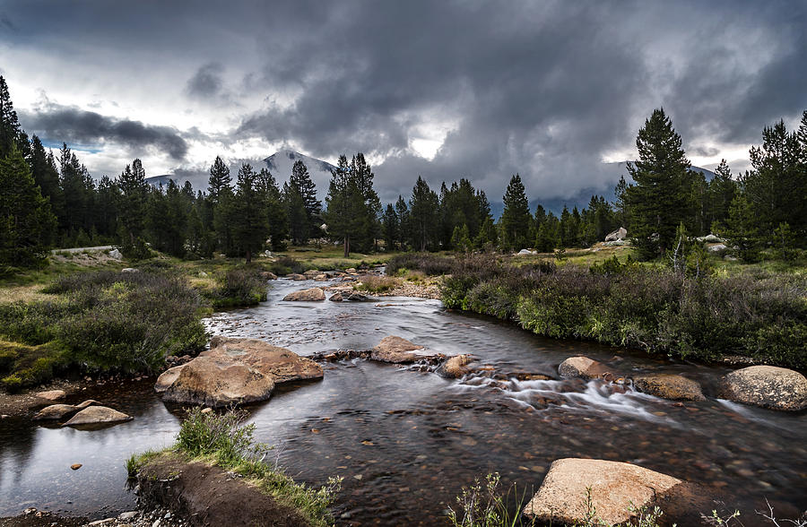 Yosemite National Park Photograph - Rainy Day in Yosemite by Cat Connor