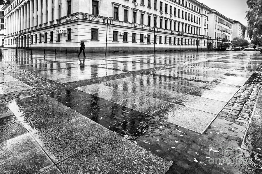 Rainy day Photograph by Jivko Nakev