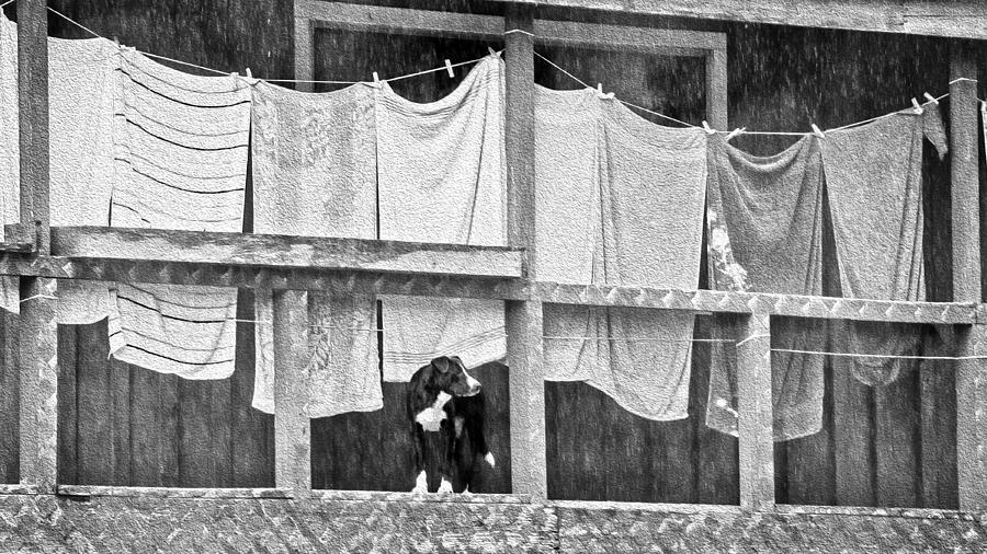 Black And White Photograph - Rainy Day Laundry by Betty Denise