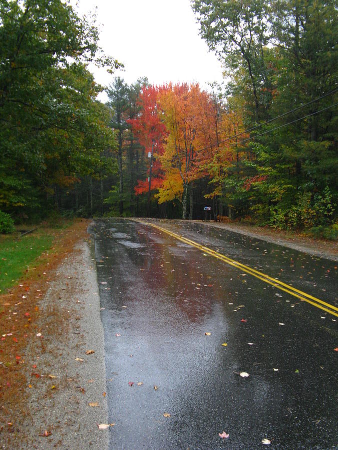 Rainy Day Rural Road Photograph by Bill Tomsa