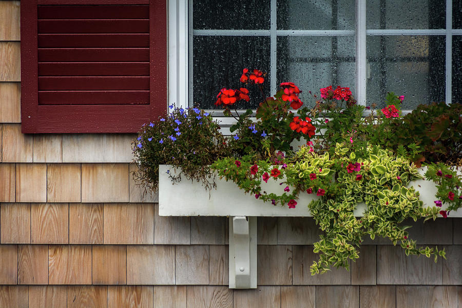 Rainy day in Boothbay Photograph by Shannon Branson - Fine Art America