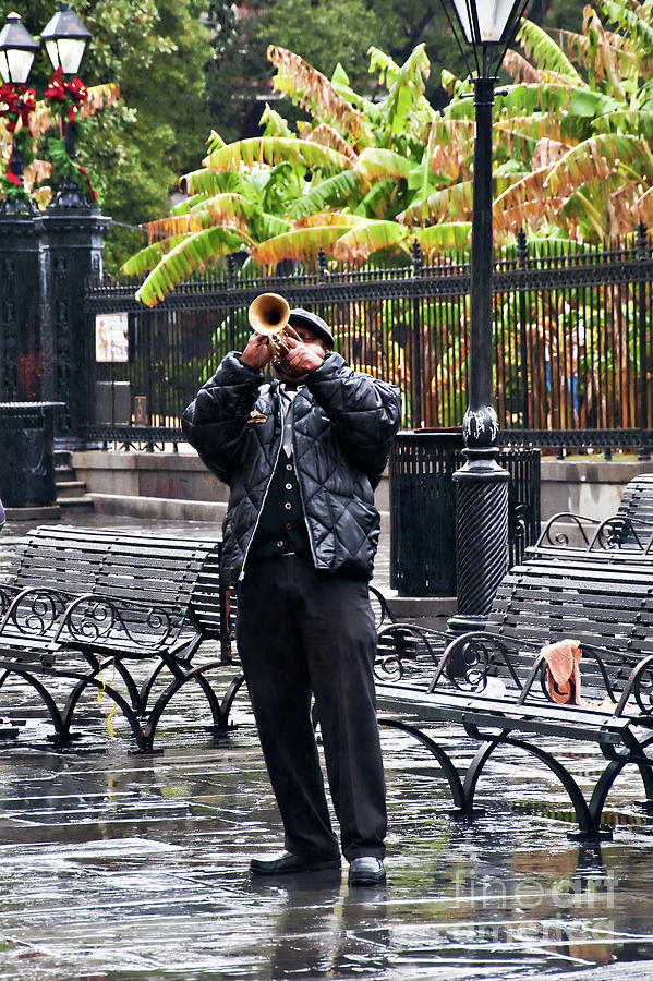 Rainy Day Trumpeter Photograph by Kathleen K Parker