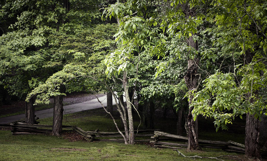 Rainy Day Walk Bluestone State Park In West Virginia Photograph By 