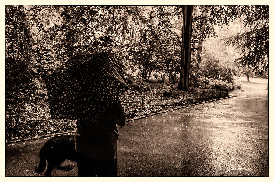 Rainy Day - Woman and Dog Photograph by Madeline Ellis