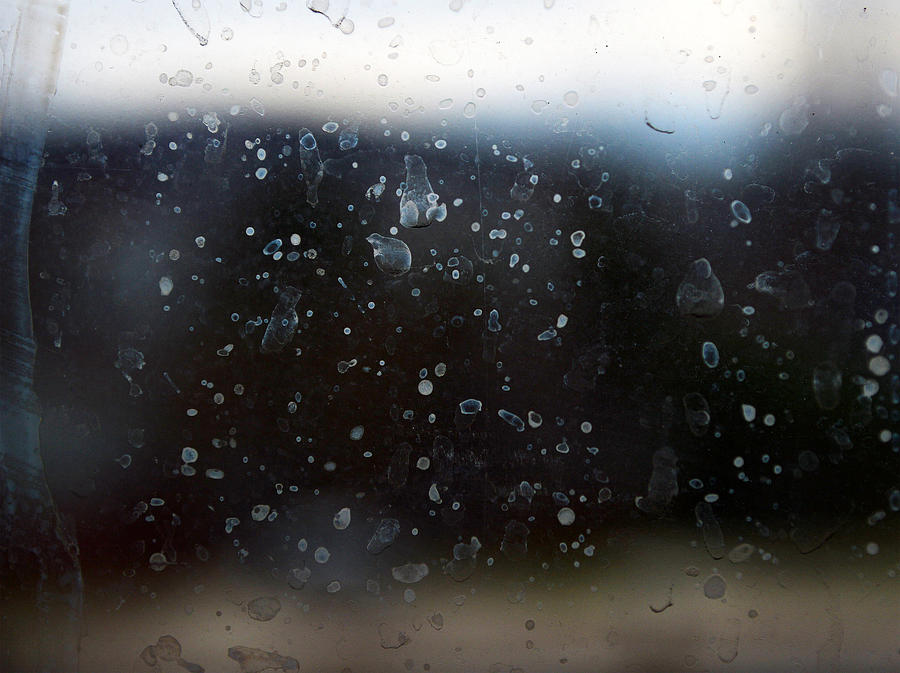 Abstract Photograph - Rainy Days by Lindsey McDonald
