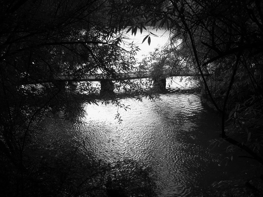 Rainy Inlet Photograph by Angela Siener | Fine Art America