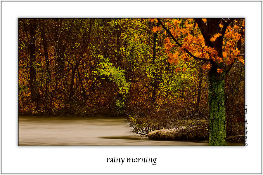 Rainy Morning Photograph by Onyonet Photo studios