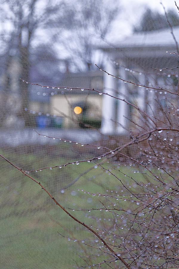 Rainy Morning Photograph by Tom Singleton