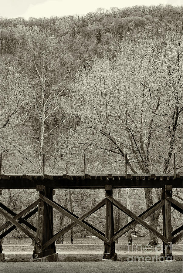 Raised Rails Black and White Photograph by Karen Adams
