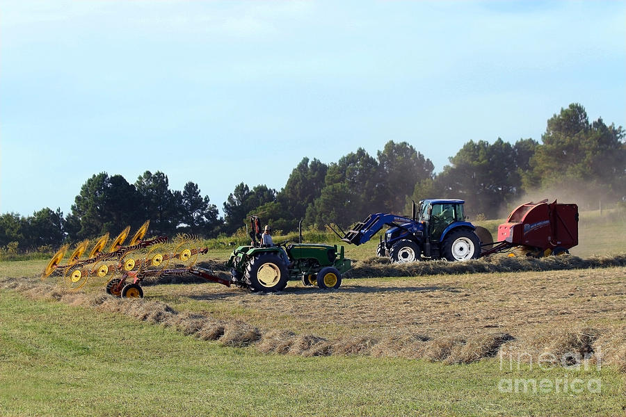 Raking and Baling Hay in Texas Photograph by Catherine Sherman