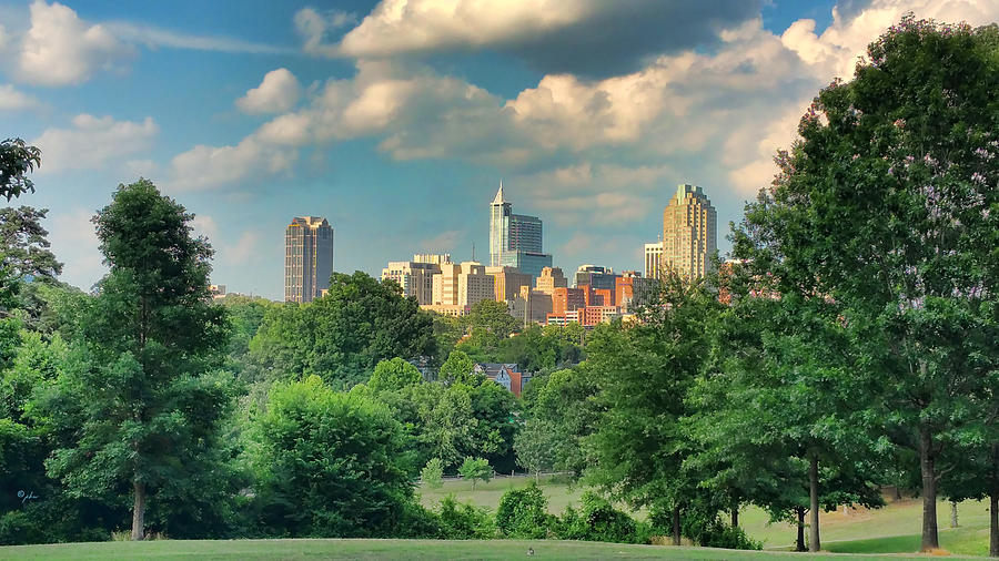 Raleigh From Dorothea Dix Photograph by Paulette B Wright