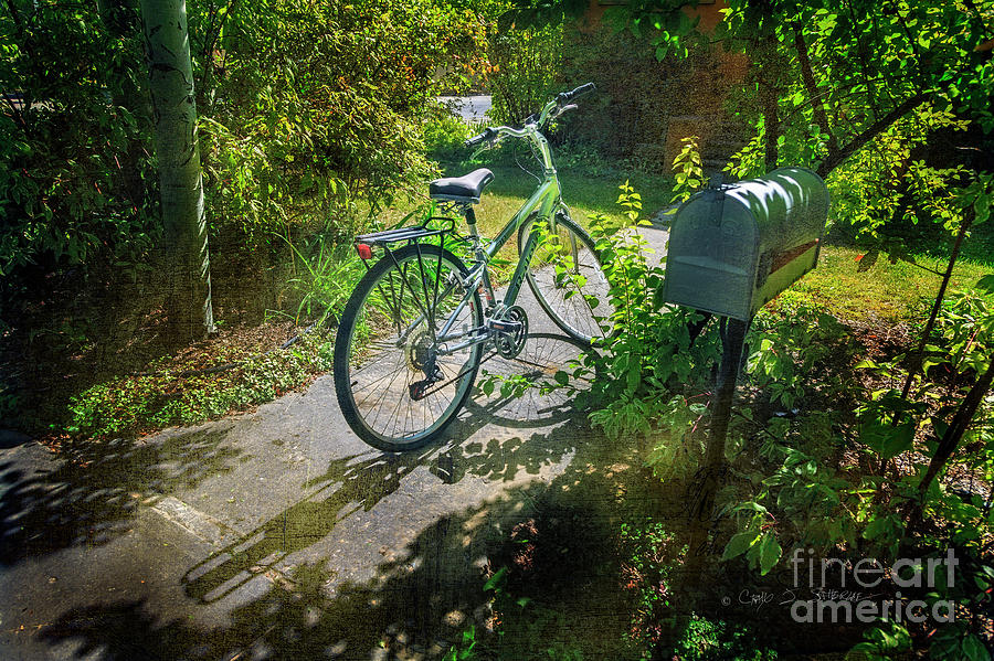Raleio Bicycle Photograph by Craig J Satterlee