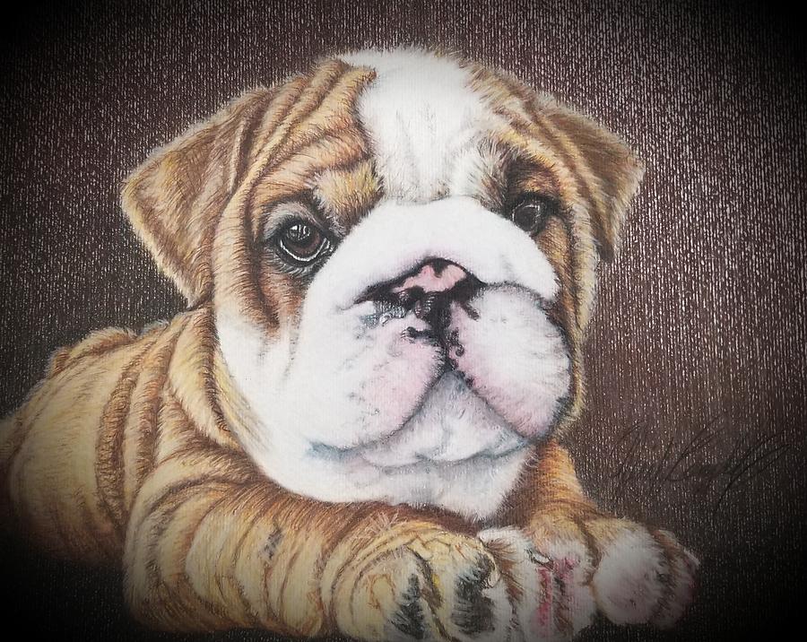 Ralph Drawing by Jennifer Brewer | Fine Art America