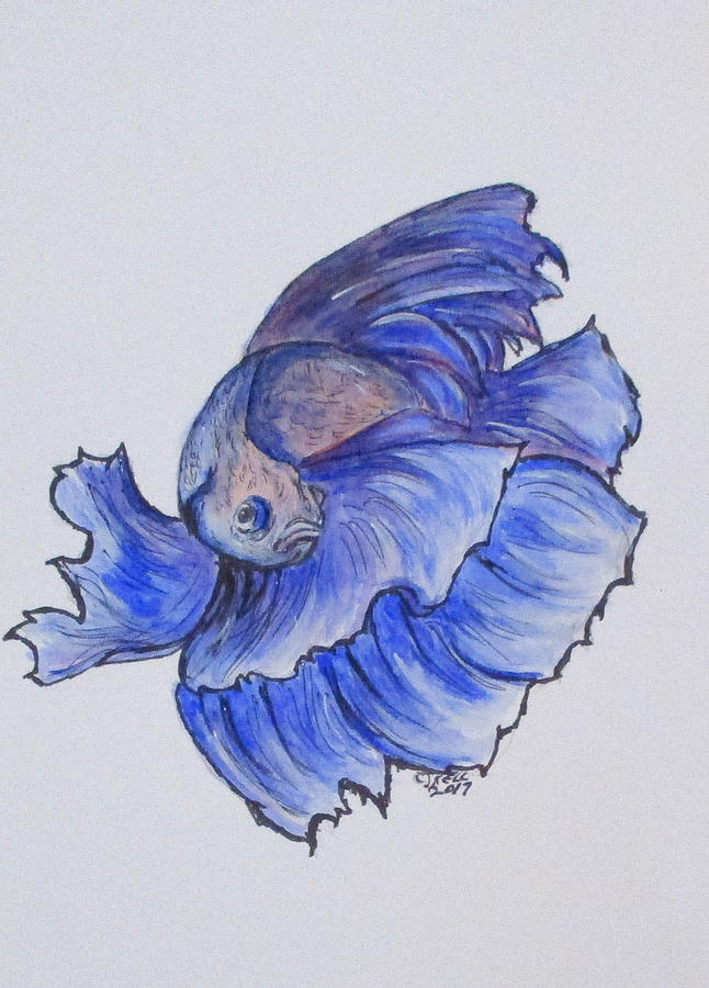 Ralphi, Betta Fish Painting by Clyde J Kell