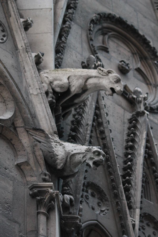 Paris Photograph - Ram and Eagle Griffon Notre Dame by Christopher J Kirby