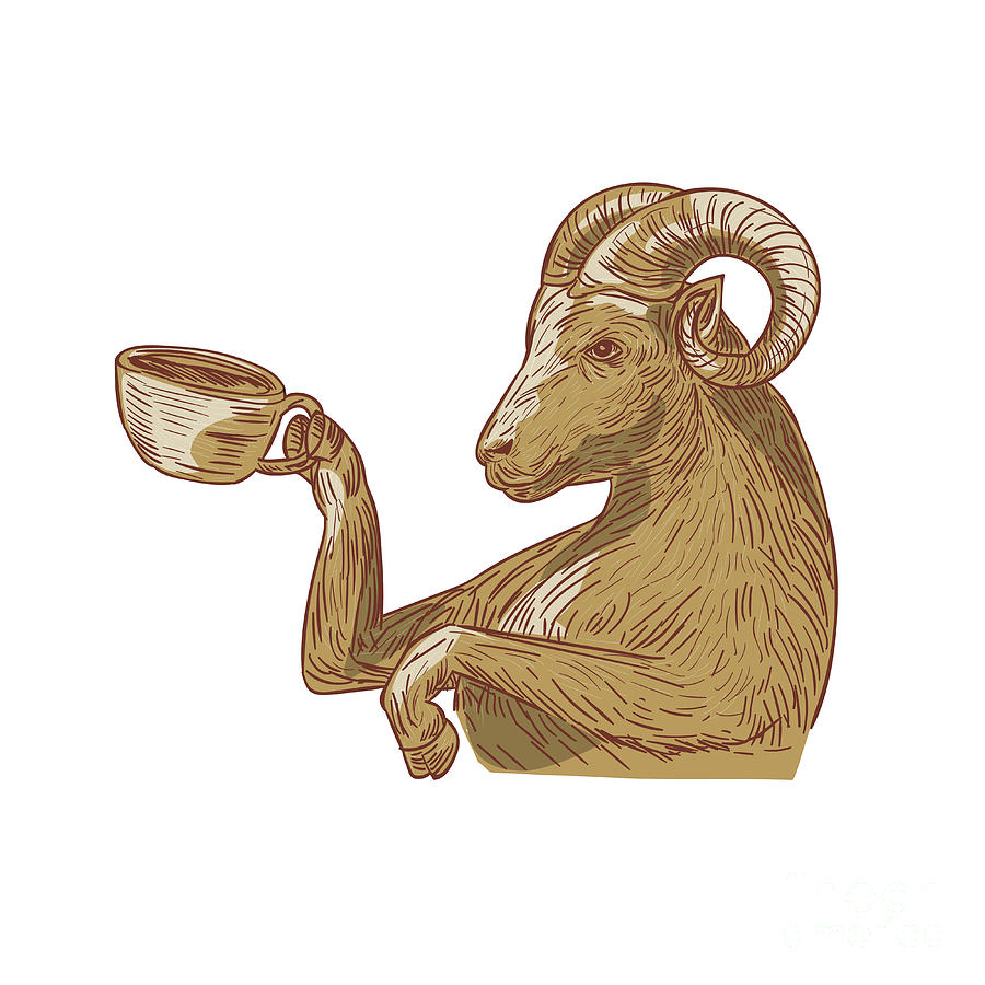 Coffee Digital Art - Ram Goat Drinking Coffee Drawing by Aloysius Patrimonio