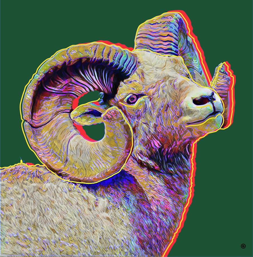 Animal Digital Art - Ram Head by Gary Grayson