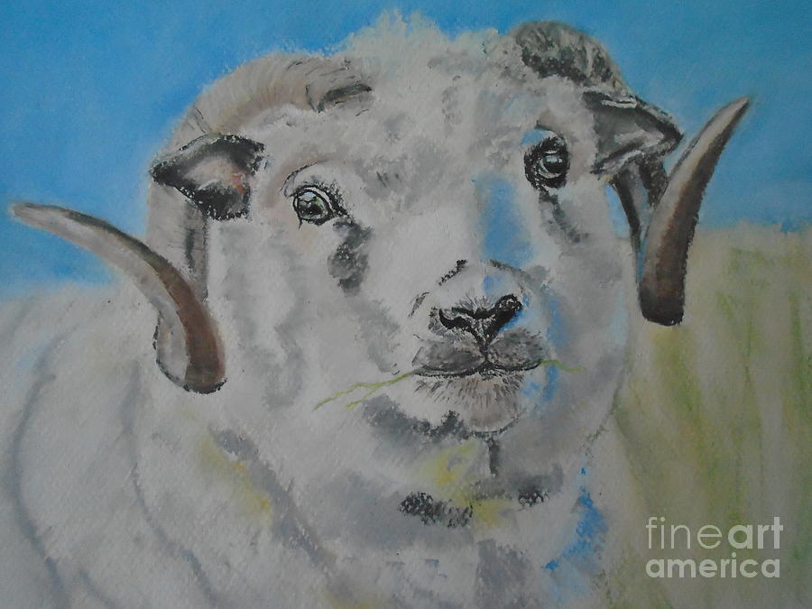 Ram in a Field Pastel by Angela Cartner