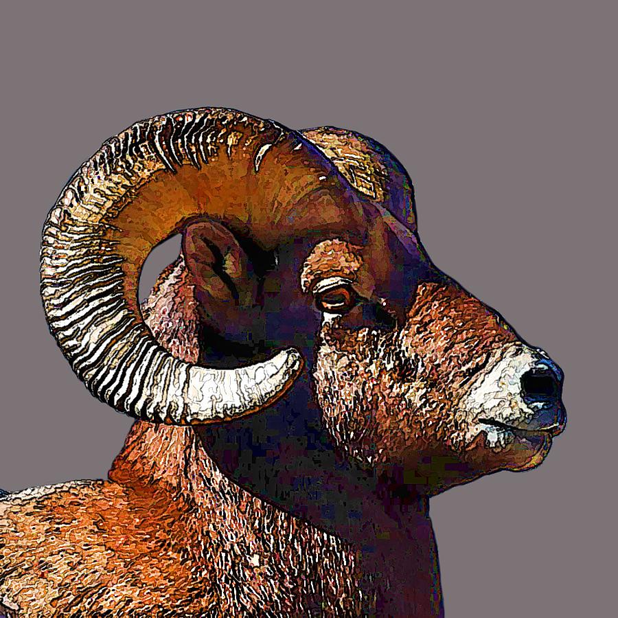  Ram Portrait - Rocky Mountain Bighorn Sheep by OLena Art Digital Art by OLena Art
