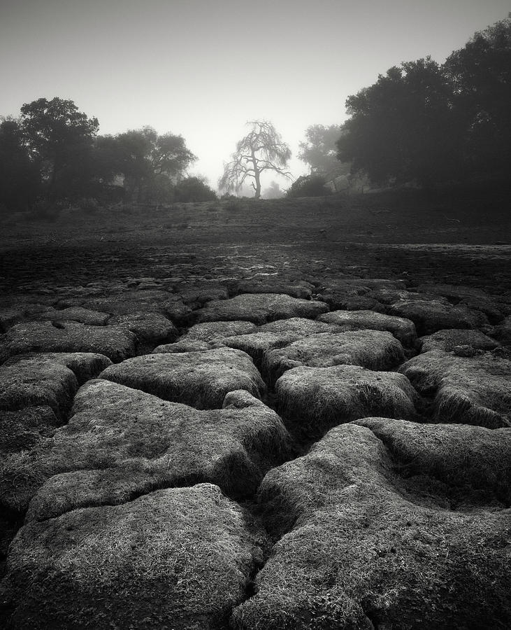 San Diego Photograph - Ramona Dry Pond by William Dunigan