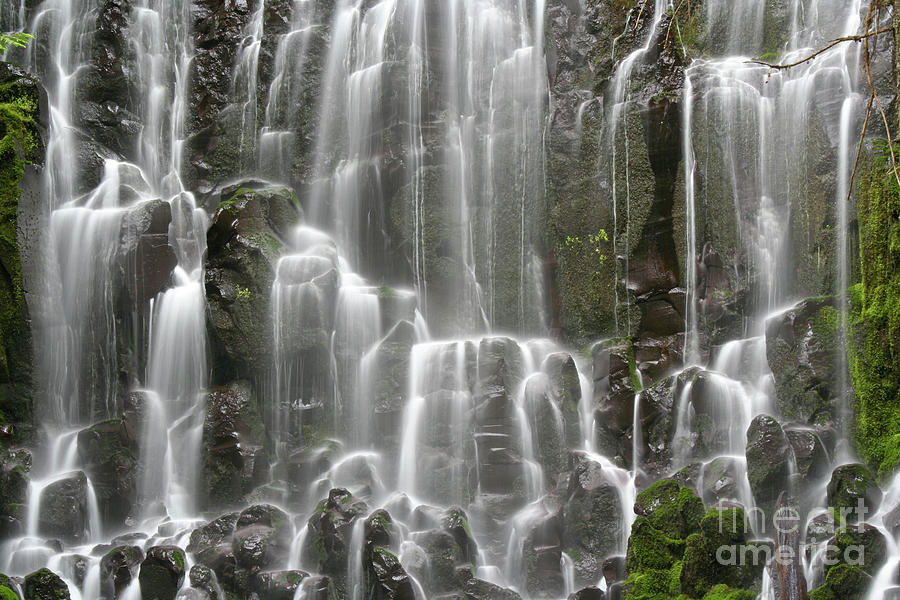 Ramona Falls Photograph by Bruce Block